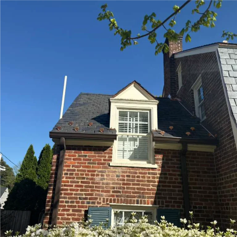 River Oak Renovation - Roof 1