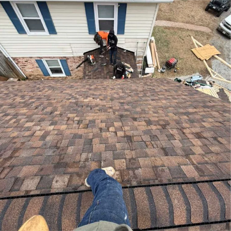 River Oak Renovation - Roof 10