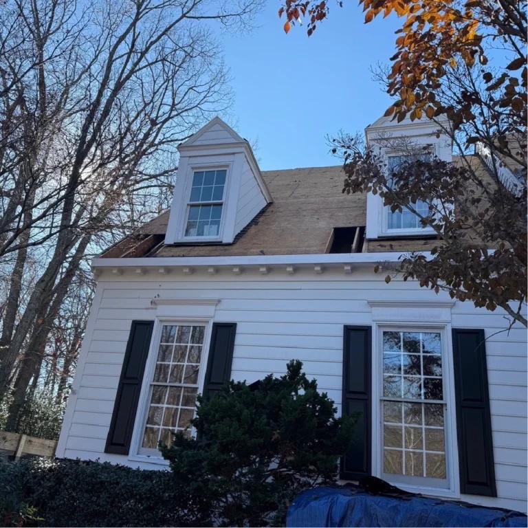 River Oak Renovation - Roof 11