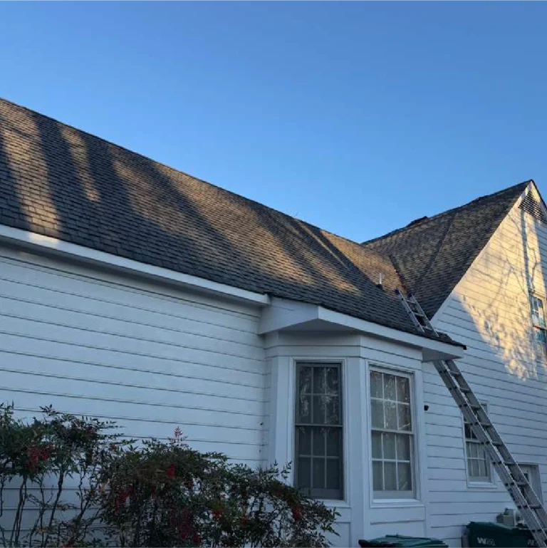 River Oak Renovation - Roof 5