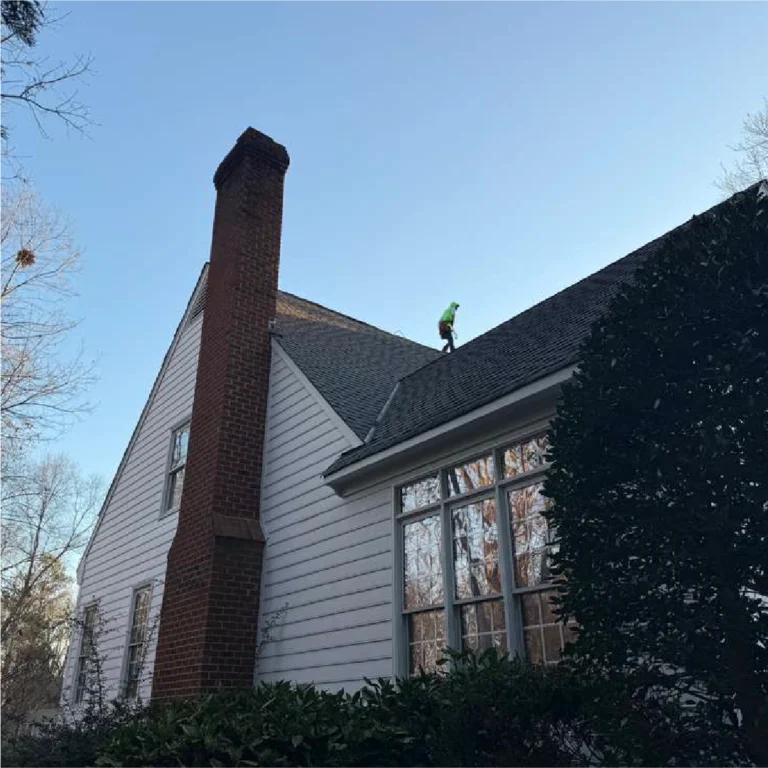 River Oak Renovation - Roof 6